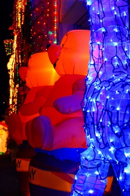 f0042548_10565633.jpg
