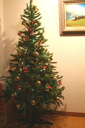 d0013149_23301754.jpg