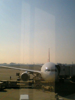 c0098756_1202989.jpg