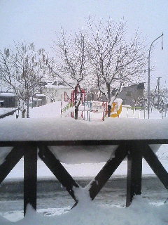 c0098756_1285958.jpg