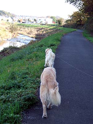 c0097558_328680.jpg