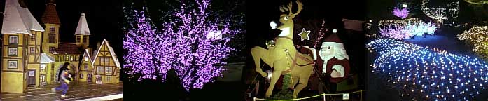 c0039761_2052611.jpg