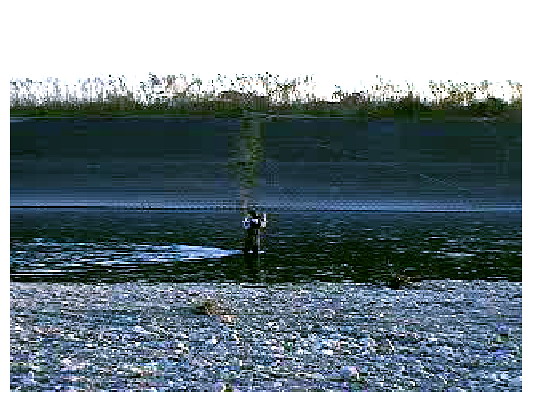 f0084561_11412733.jpg