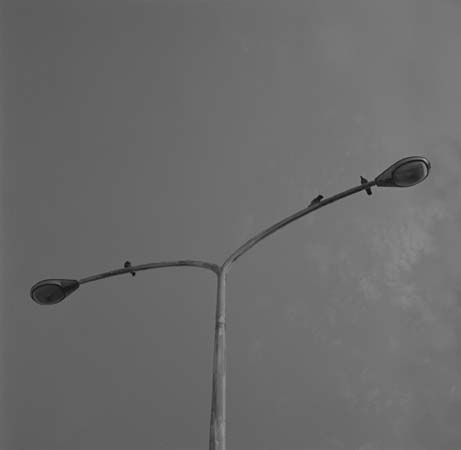 d0039162_0342683.jpg