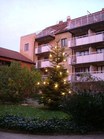 e0079166_20325429.jpg