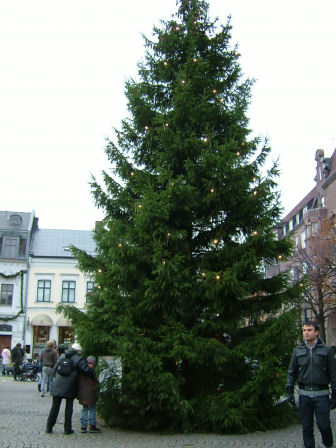 e0079166_211356.jpg