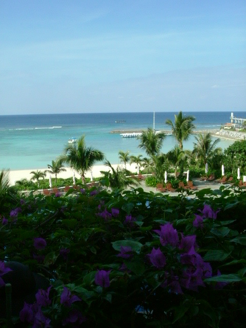 e0078071_11394782.jpg