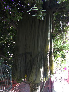 d0098183_1047361.jpg