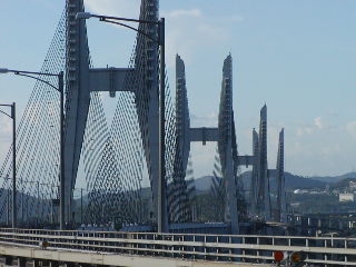 d0098183_1153279.jpg