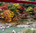 a0079292_813890.jpg