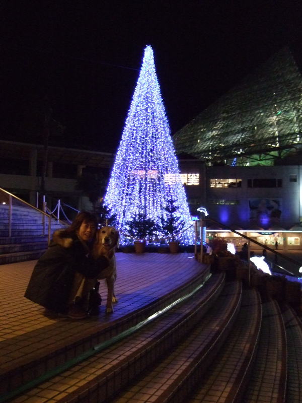 c0104492_1722751.jpg