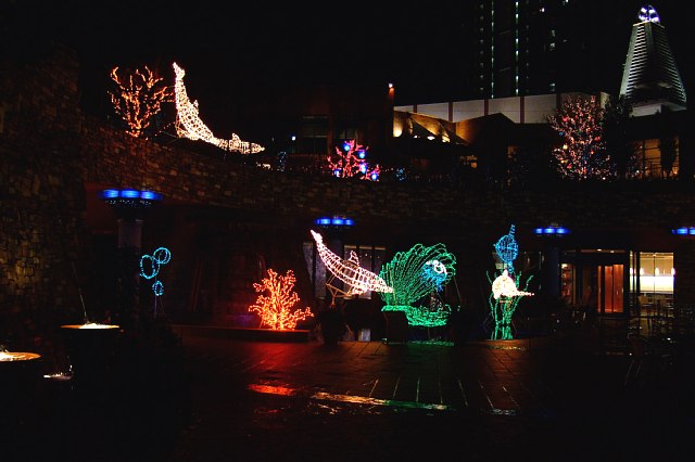 b0105199_2114849.jpg