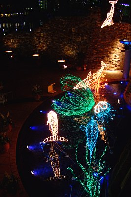 b0105199_264946.jpg