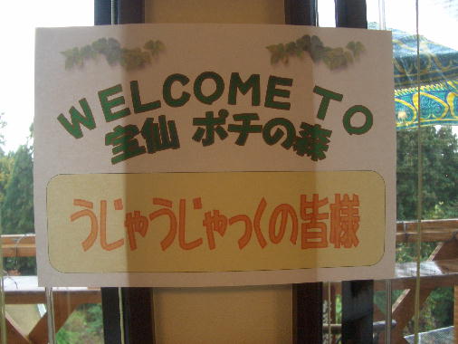 a0051402_018520.jpg