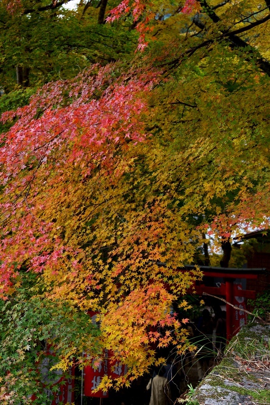 c0043403_22423988.jpg