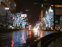 b0071405_16393119.jpg