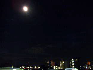 b0071407_1947551.jpg