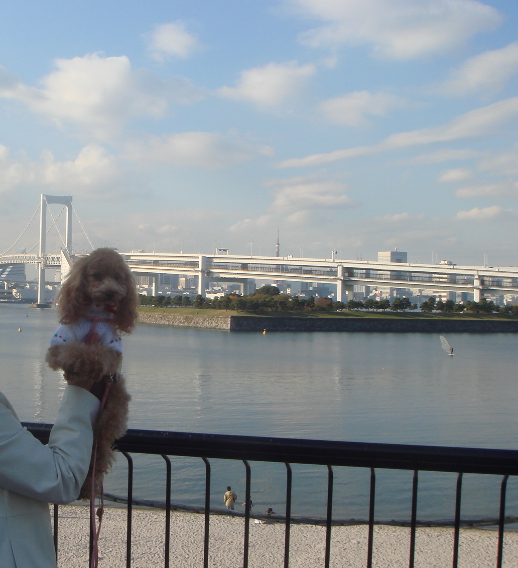c0041207_1234394.jpg