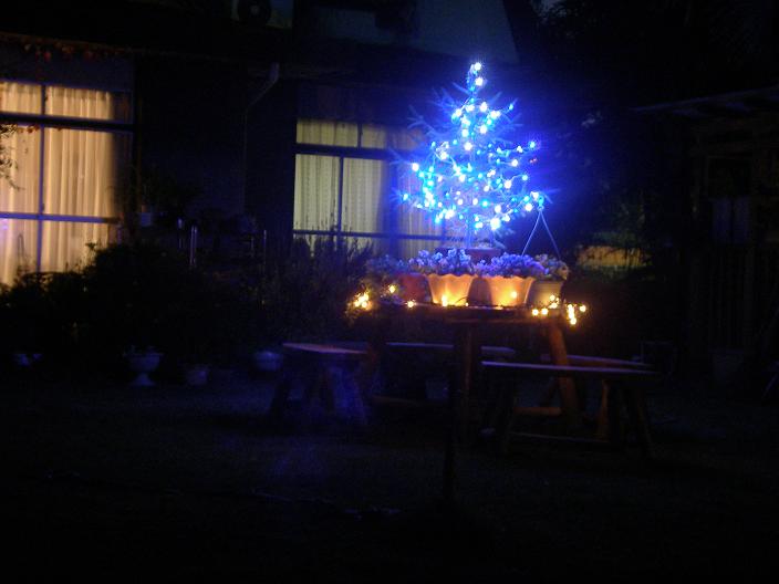 c0097309_21311647.jpg