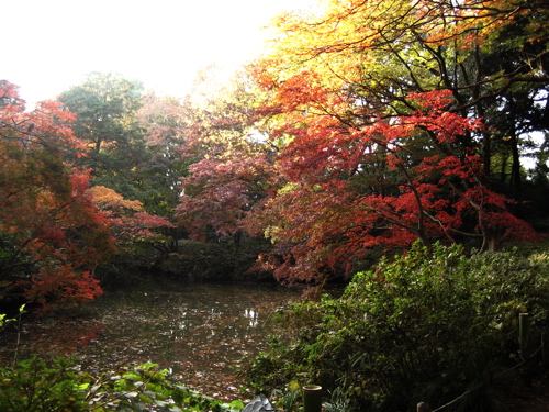 b0046210_1455048.jpg
