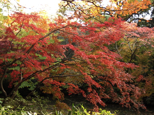 b0046210_14554070.jpg