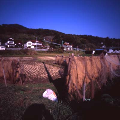 c0016712_15541388.jpg