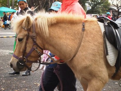 e0083212_1644109.jpg