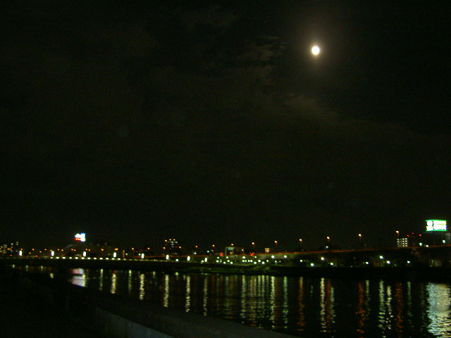 a0077616_20205843.jpg