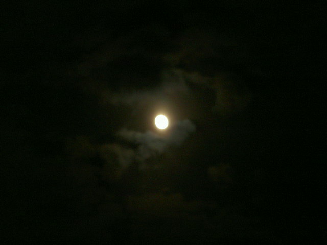 a0077616_20223975.jpg