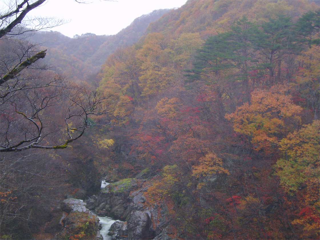 f0107517_22221393.jpg