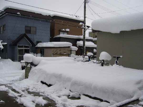 d0087418_21481978.jpg