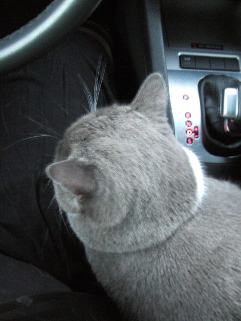 f0032020_16334082.jpg