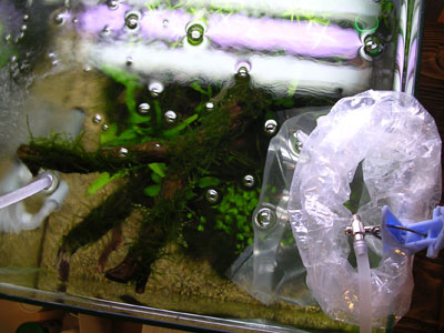 c0095824_20461440.jpg