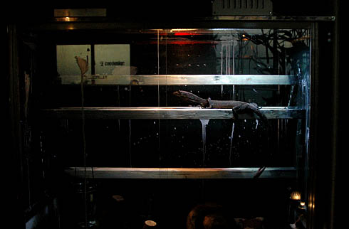 c0066827_172216.jpg