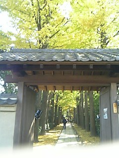 c0086230_22485852.jpg