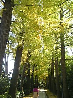 c0086230_22491732.jpg