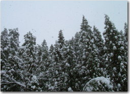 f0054731_14521174.jpg