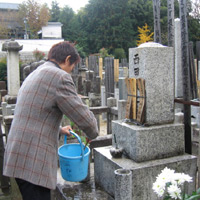 d0033734_12351738.jpg