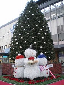 a0055835_12163742.jpg