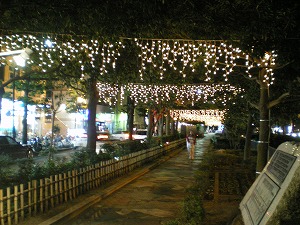 a0055835_13312444.jpg