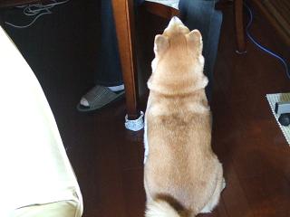 f0075043_18493690.jpg