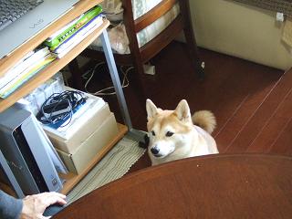f0075043_18512850.jpg