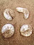 f0096948_22562731.jpg