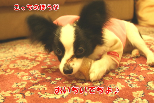 d0013149_024348.jpg