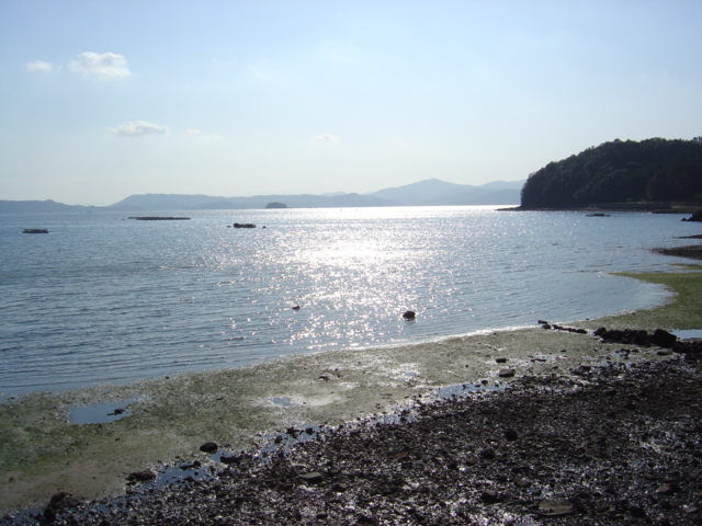 b0066153_0142350.jpg