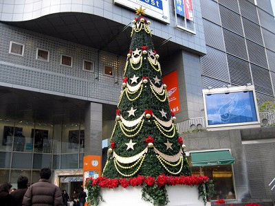 d0031853_16513816.jpg