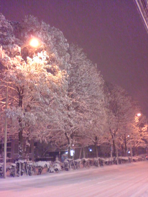 c0098756_21452835.jpg