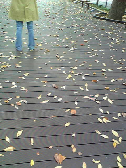 c0098756_21511137.jpg