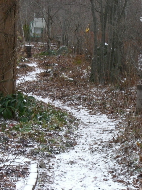 e0017562_657489.jpg
