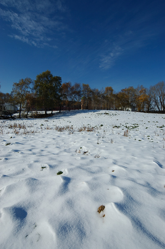 c0084666_18525394.jpg